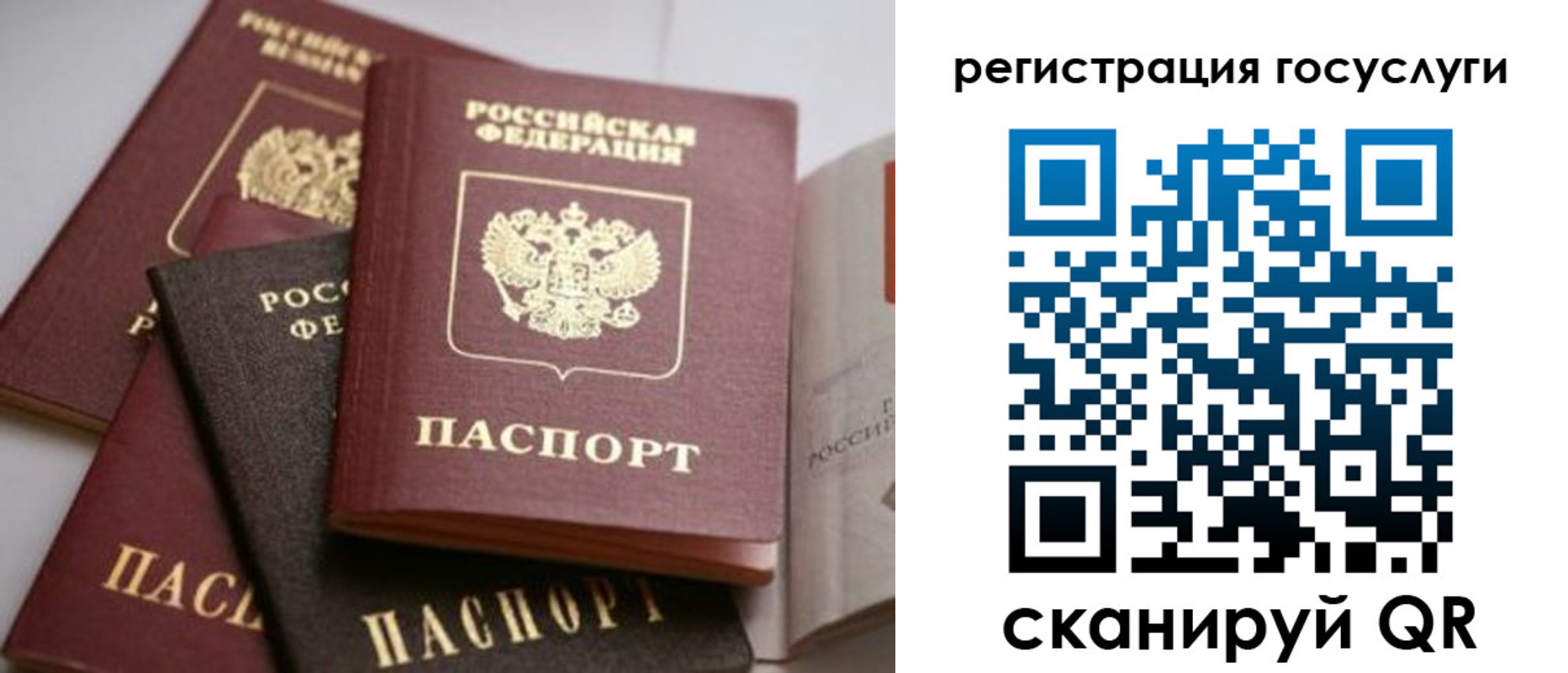 пропишу в квартире в Пионерском
